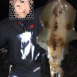 アオリイカ連発